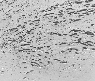 Oceanic Travertine — วัสดุตกแต่งผนัง